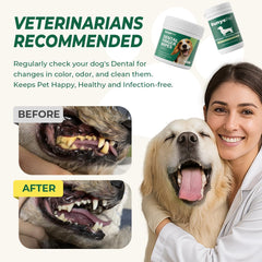 RunyePet lingettes dentaires usage rapide : nettoyage ciblé sans rinçage pour chiens et chats.