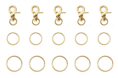 Clips d'étiquette Ruwado avec porte-clefs doré pour chien, sécurité renforcée.
