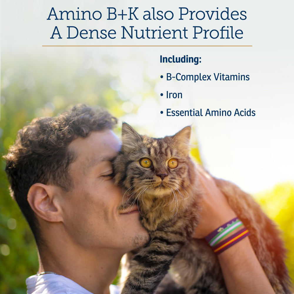 Rx Vitamins Amino B+K – chat actif, énergie quotidienne potentielle.