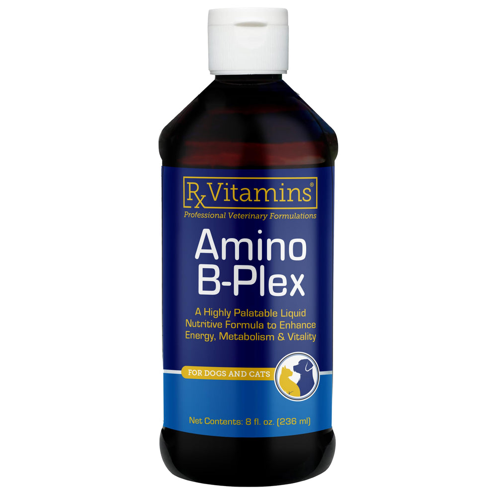 Rx Vitamins Amino B-Plex flacon 8oz, soutien énergie pour chiens et chats.