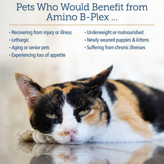 Stimulation d'appétit potentiel pour chiens et chats.