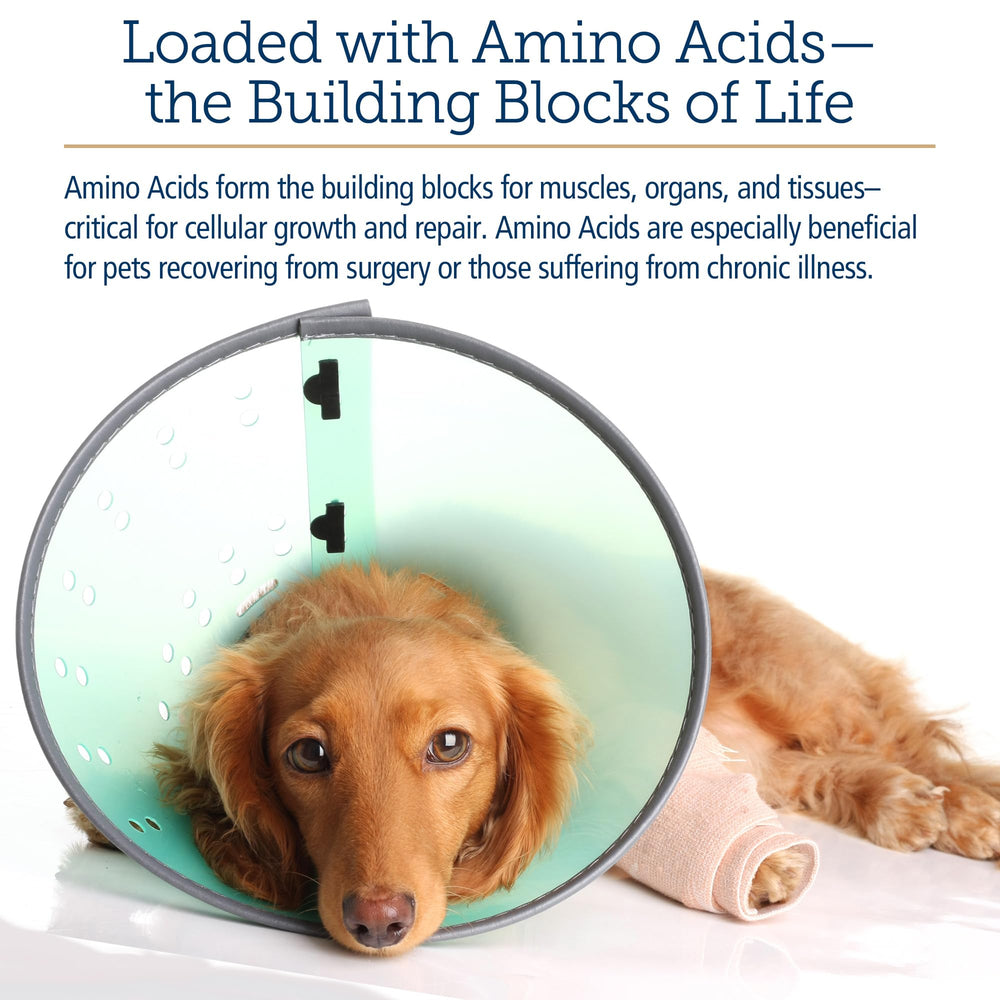 Texture liquide fluide d’Amino B Plex facilitant l’administration.