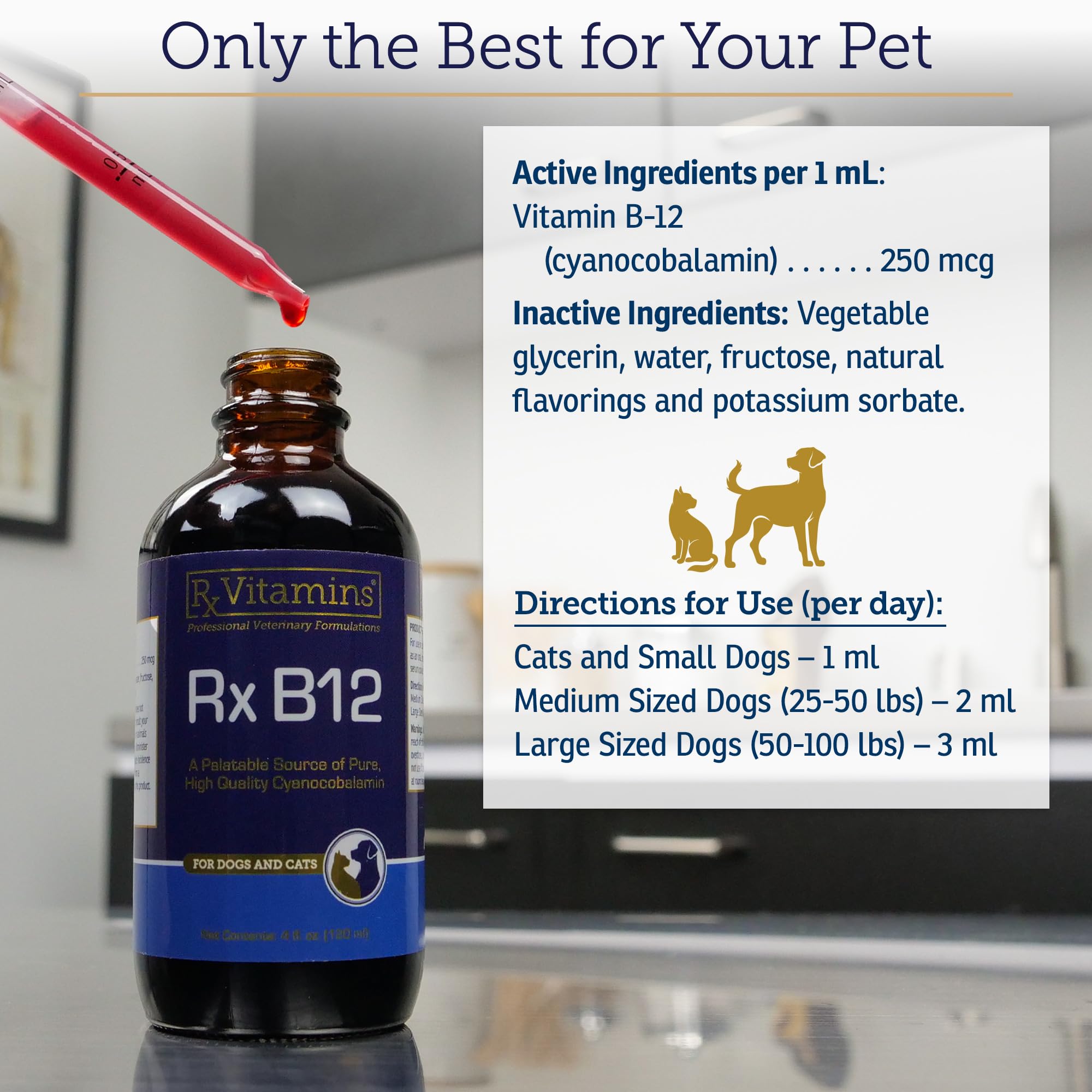 Rx Vitamins B12 pour chiens – énergie soutenue pour les aînés.