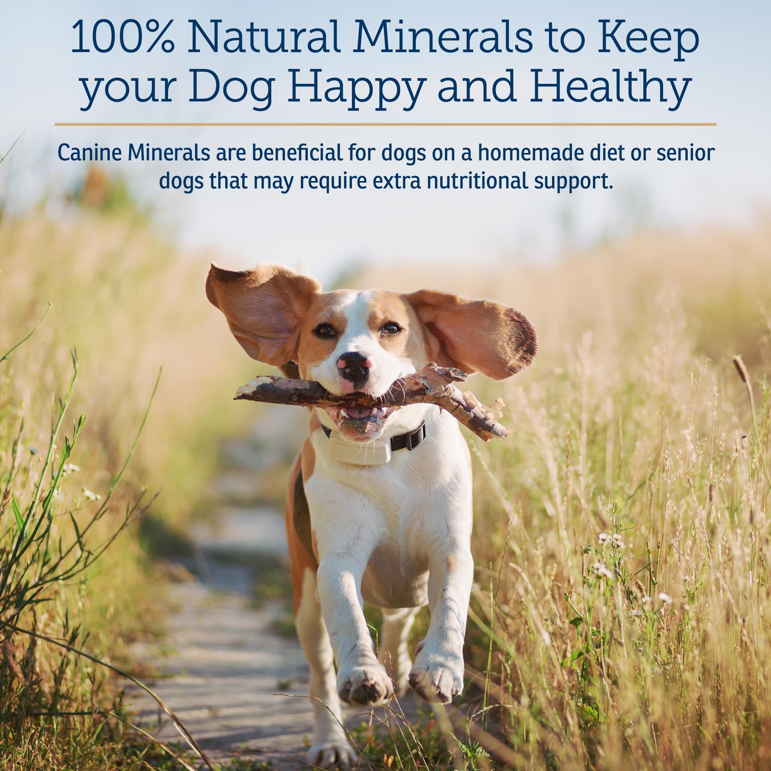 Rx Vitamins Canine Minerals - doseur-cuillere facilitant le dosage sur repas