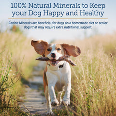 Rx Vitamins Canine Minerals - doseur-cuillere facilitant le dosage sur repas