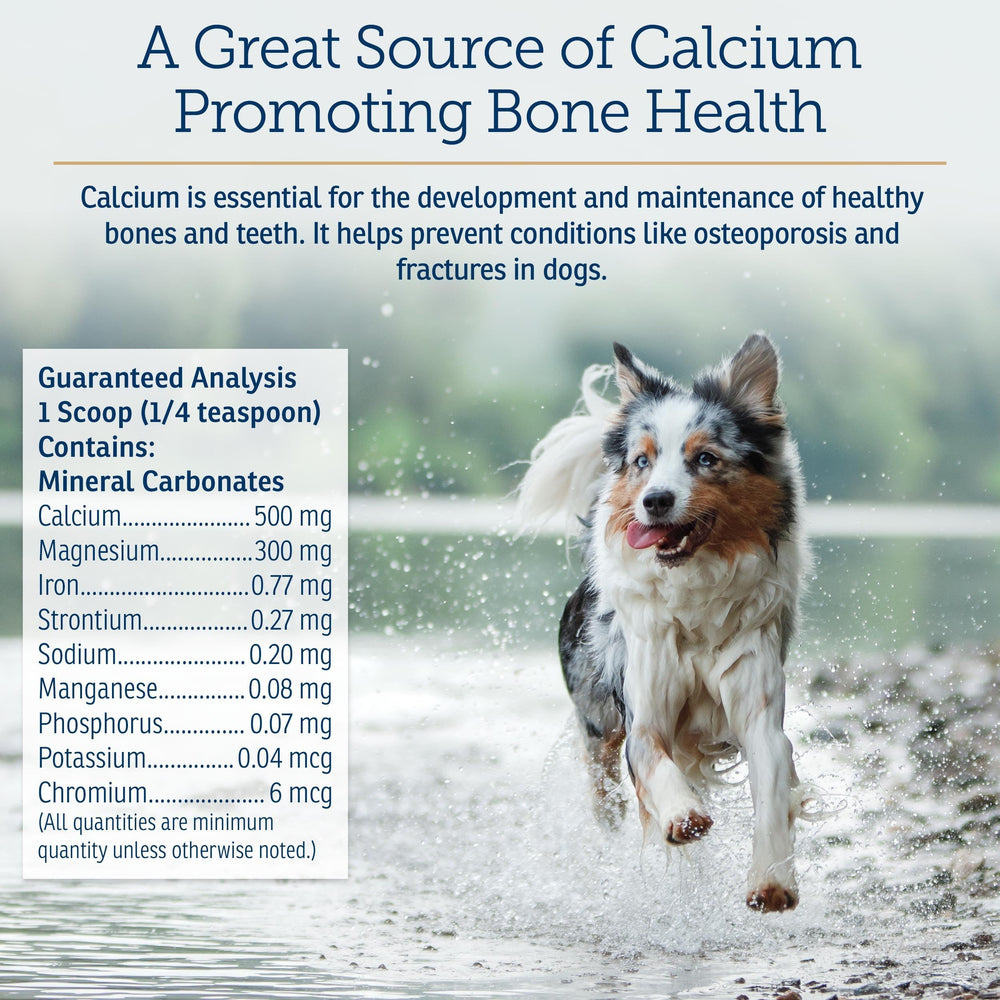 Rx Vitamins Canine Minerals - étiquette claire avec informations et ingrédients