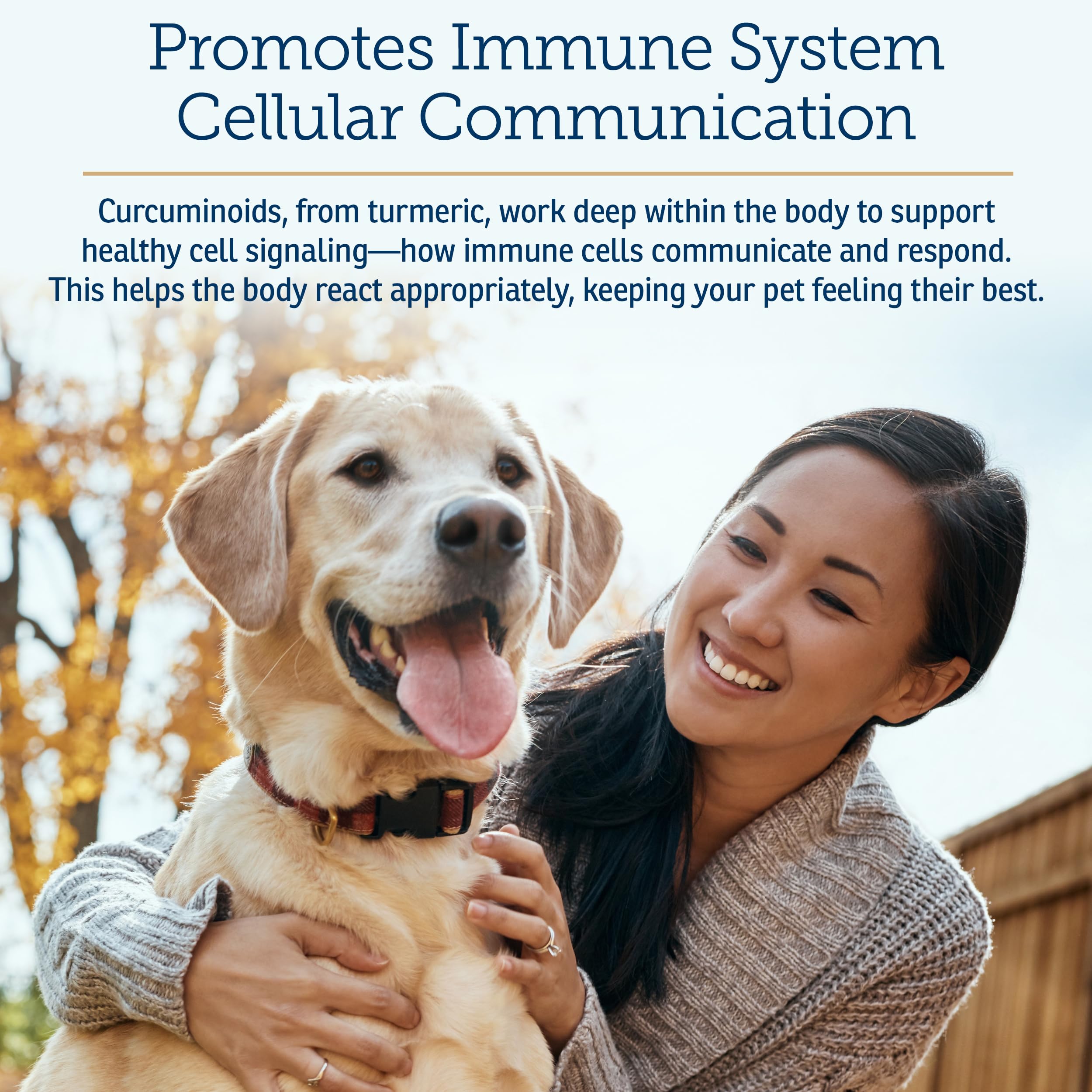 Rx Vitamins CurcuWIN: soutien immunitaire et digestion des animaux de compagnie.
