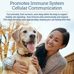 Rx Vitamins CurcuWIN: soutien immunitaire et digestion des animaux de compagnie.