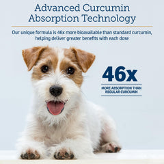 Rx Vitamins CurcuWIN: comprimés avec absorption avancée pour biodisponibilité améliorée.