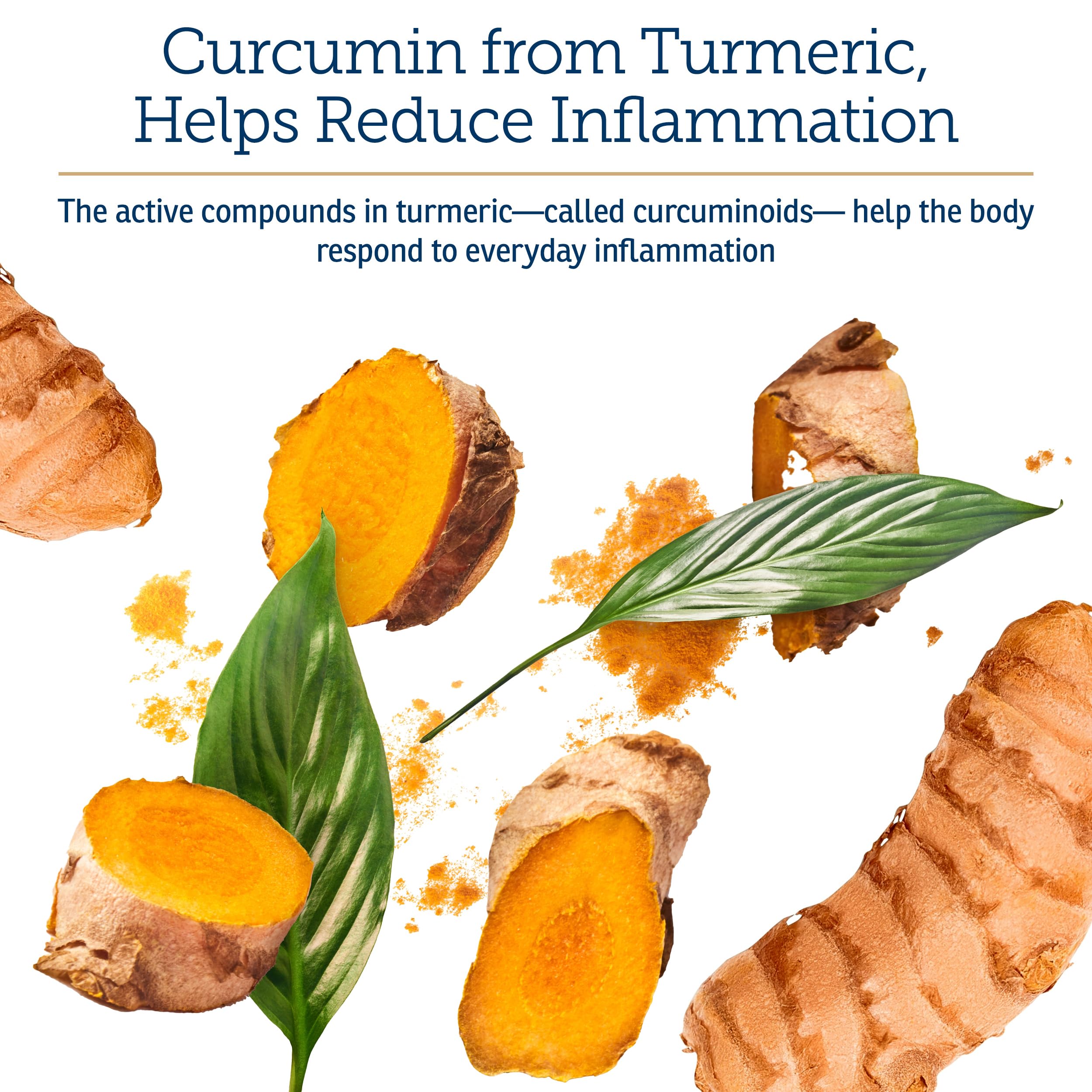 Rx Vitamins CurcuWIN: aide potentielle contre les allergies chez les animaux.
