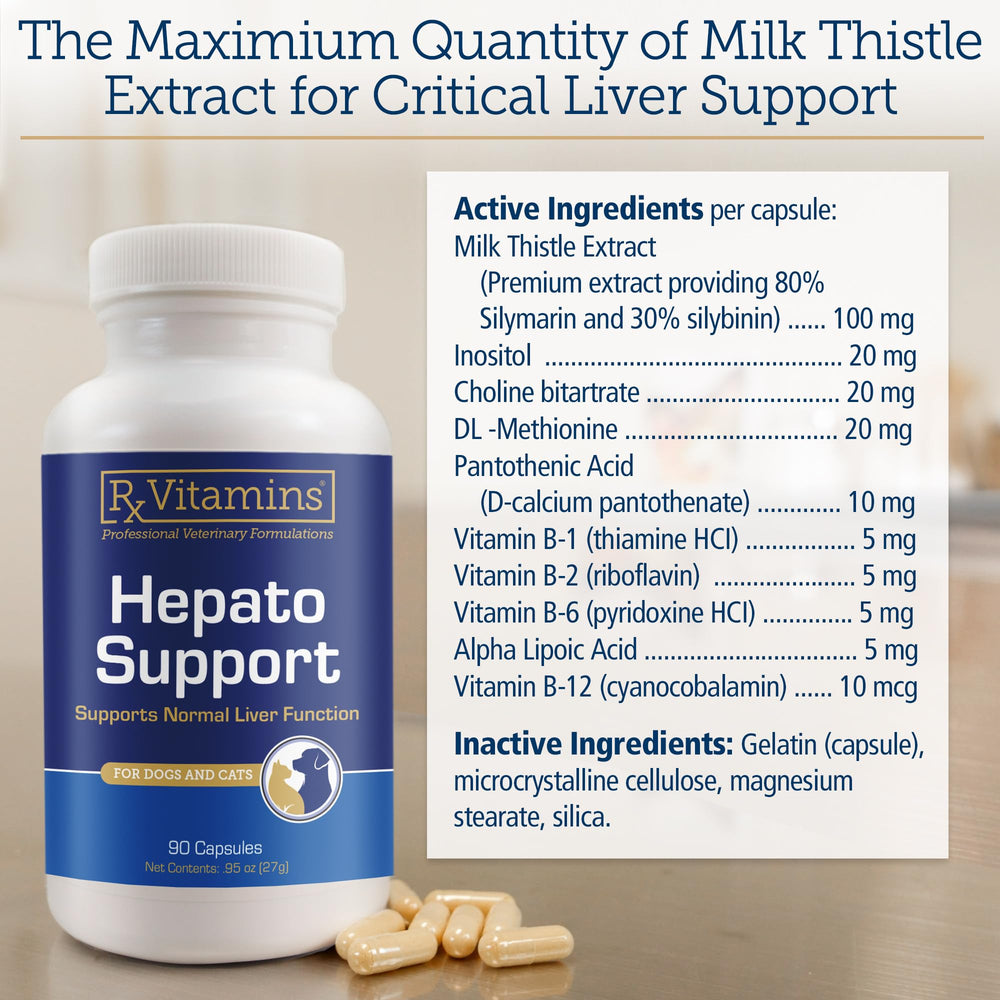Capsules chardon-marie Rx Vitamins Hepato Support, soutien hépatique naturel.