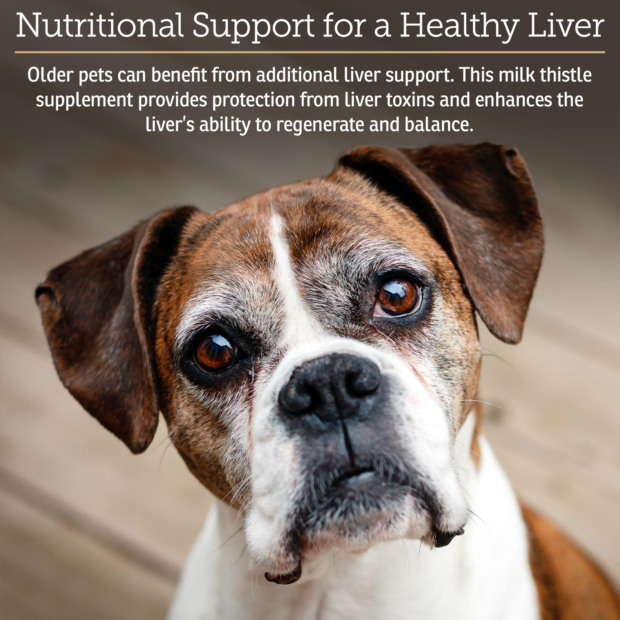 Rx Vitamins Hepato Support doseur intégré, administration facile pour les animaux.