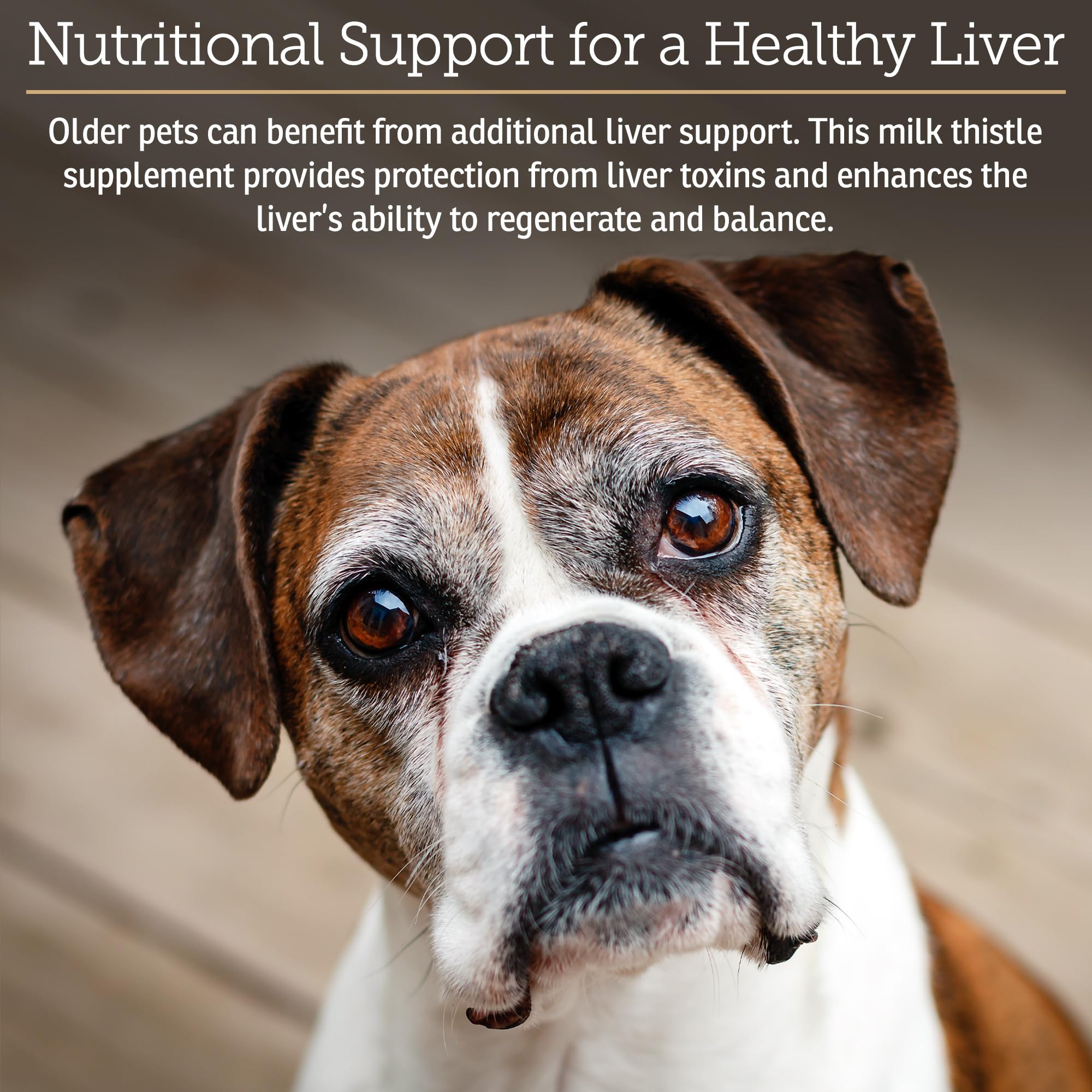 Rx Vitamins Hepato: extrait chardon-marie bio illustré, soutien potentiel du foie.