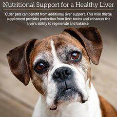 Rx Vitamins Hepato: extrait chardon-marie bio illustré, soutien potentiel du foie.