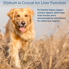 Rx Vitamins Hepato Support saveur bacon, dégustation agréable pour chiens et chats.