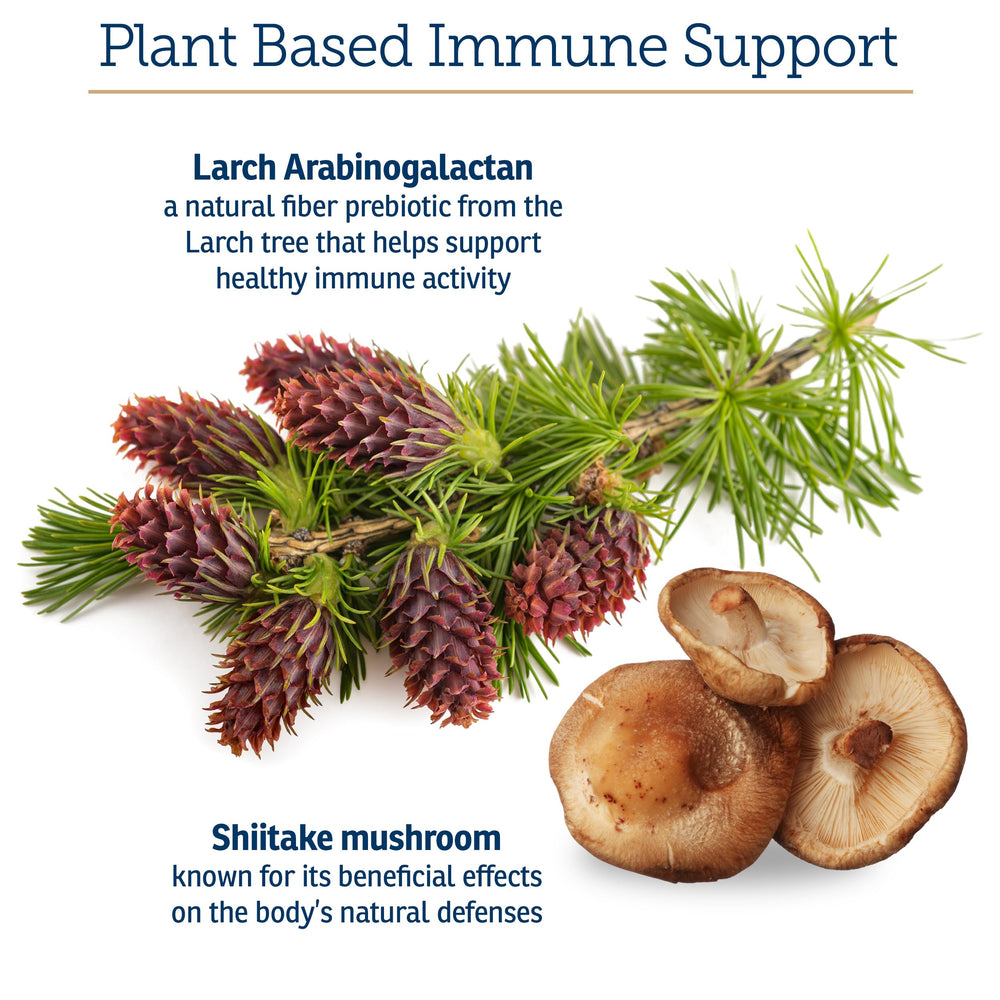 Rx Vitamins Immuno Support: arabinogalactane, nutriment végétal pour immunité canine et féline.