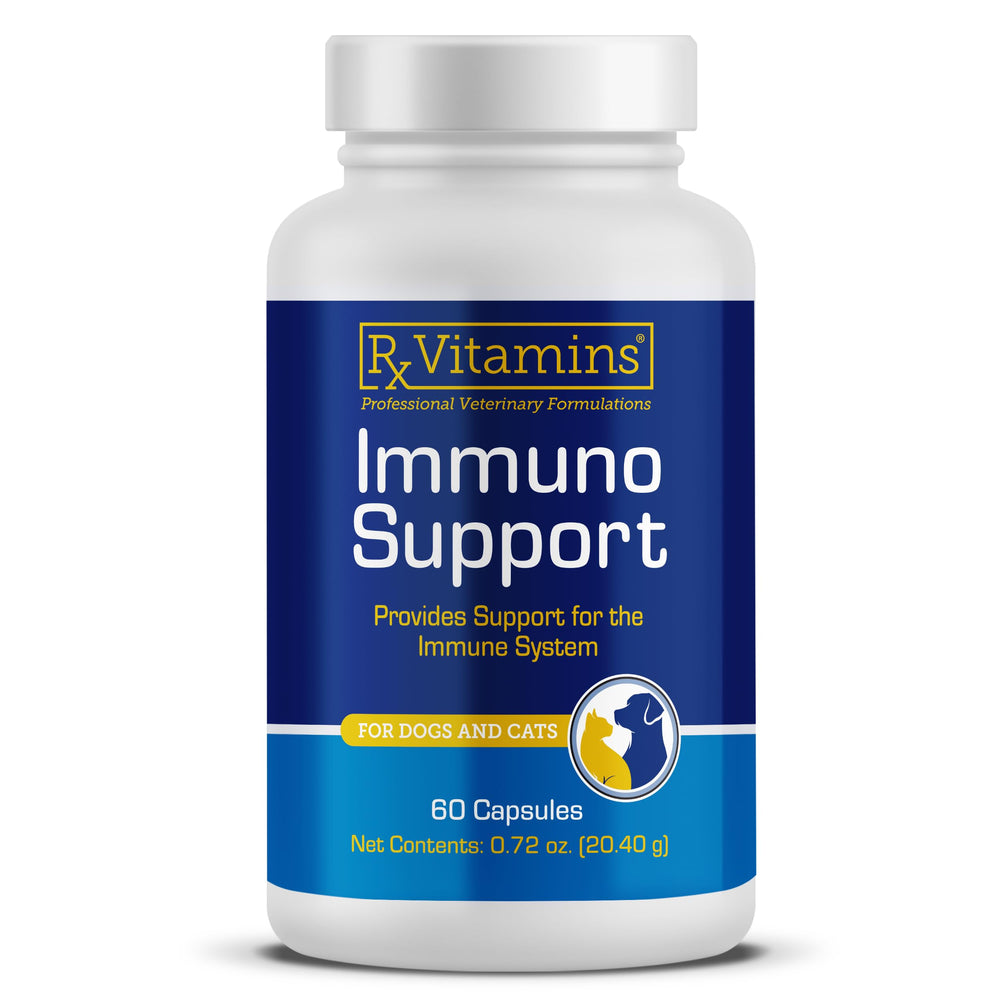 Rx Vitamins Immuno Support: bouteille et gélules, soutien immunitaire pour chiens et chats.