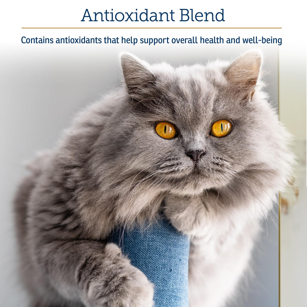 Rx Vitamins Onco Support intègre le varech, source naturelle de minéraux pour les animaux.