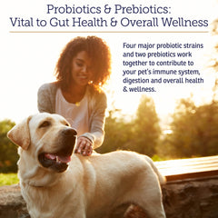 Rx Vitamins Rx Biotic, doseur-probiotique, dosage facile pour chiens et chats.