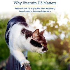 Rx Vitamins Rx D3, emballage-boîte pratique et fiable pour utilisation domestique.