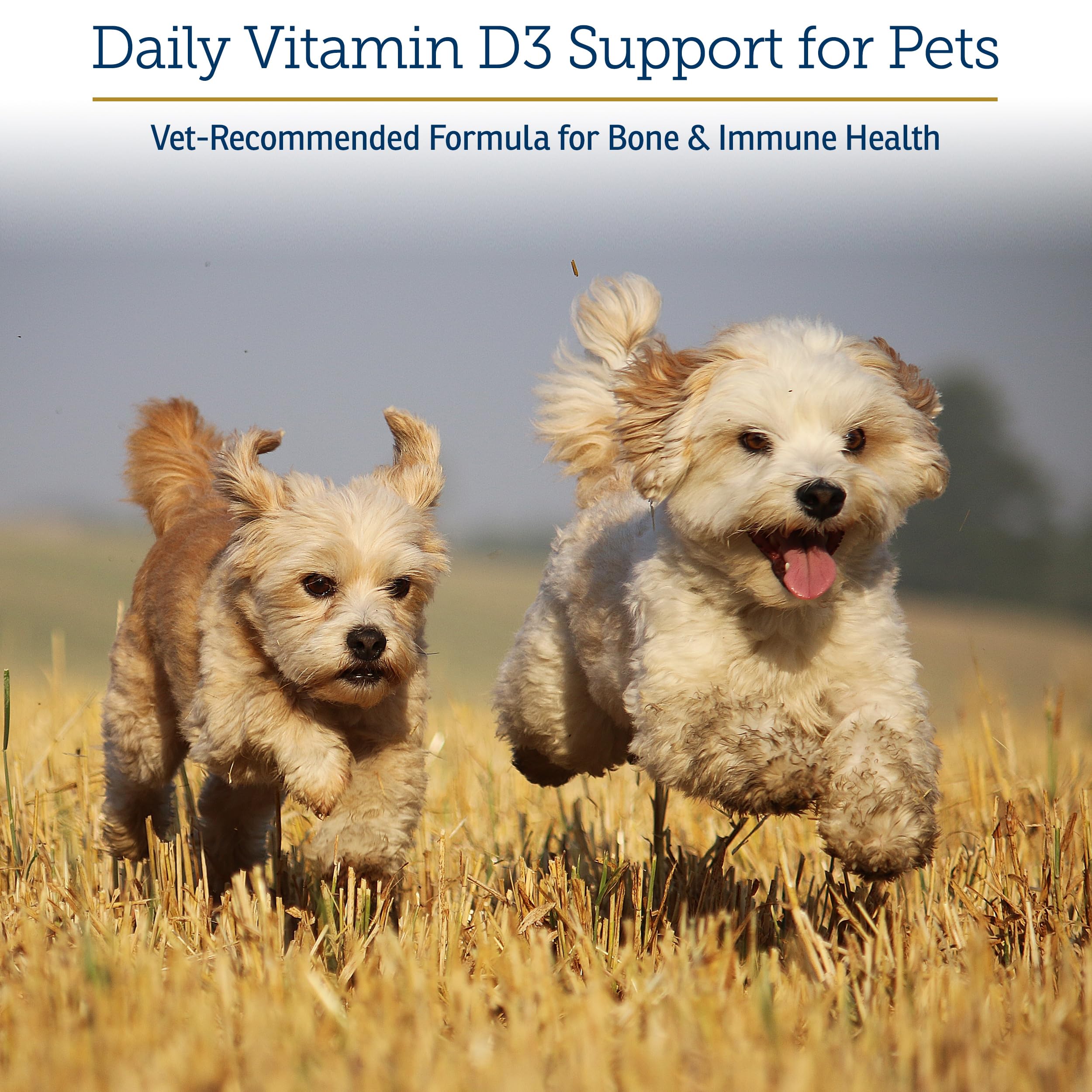 Rx Vitamins Rx D3, pipette gouttes, administration facile pour immunité et énergie.