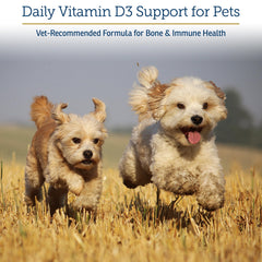 Rx Vitamins Rx D3, pipette gouttes, administration facile pour immunité et énergie.