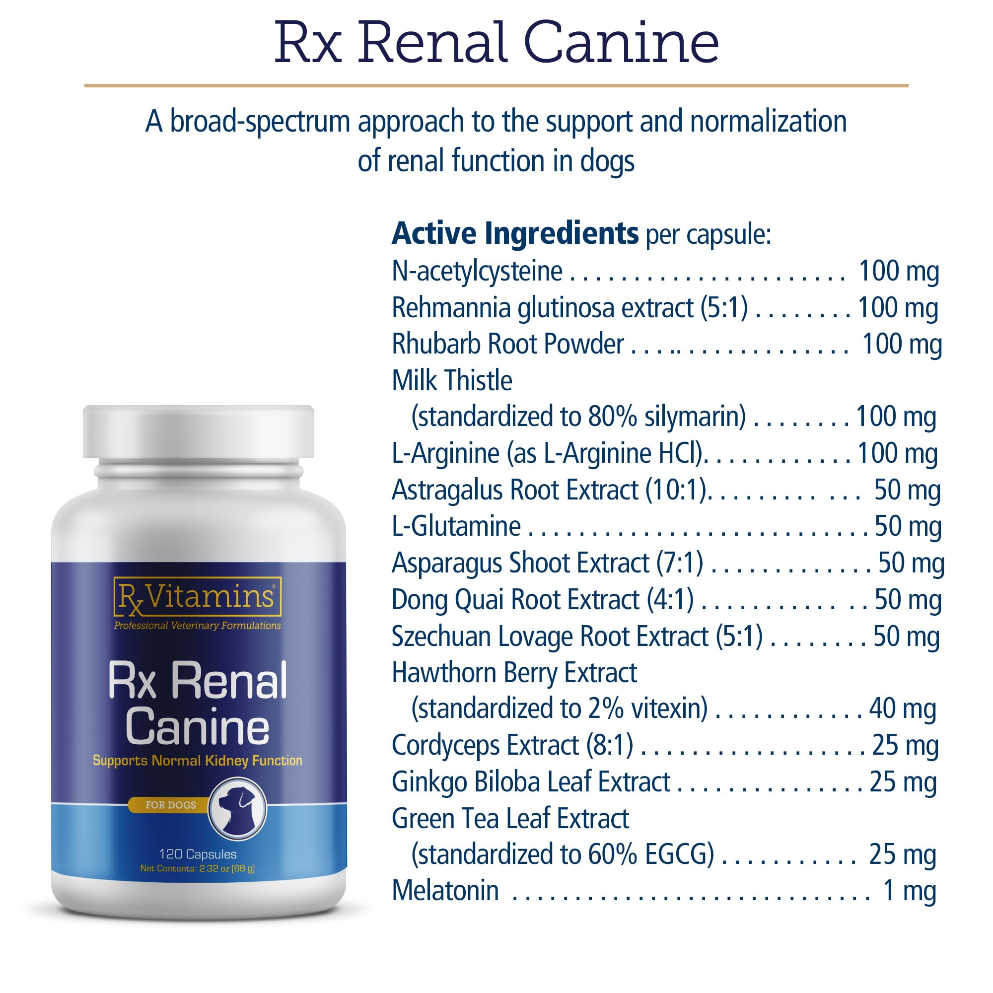 Rx Vitamins Rx Renal – boîte pratique pour le rangement à la maison.