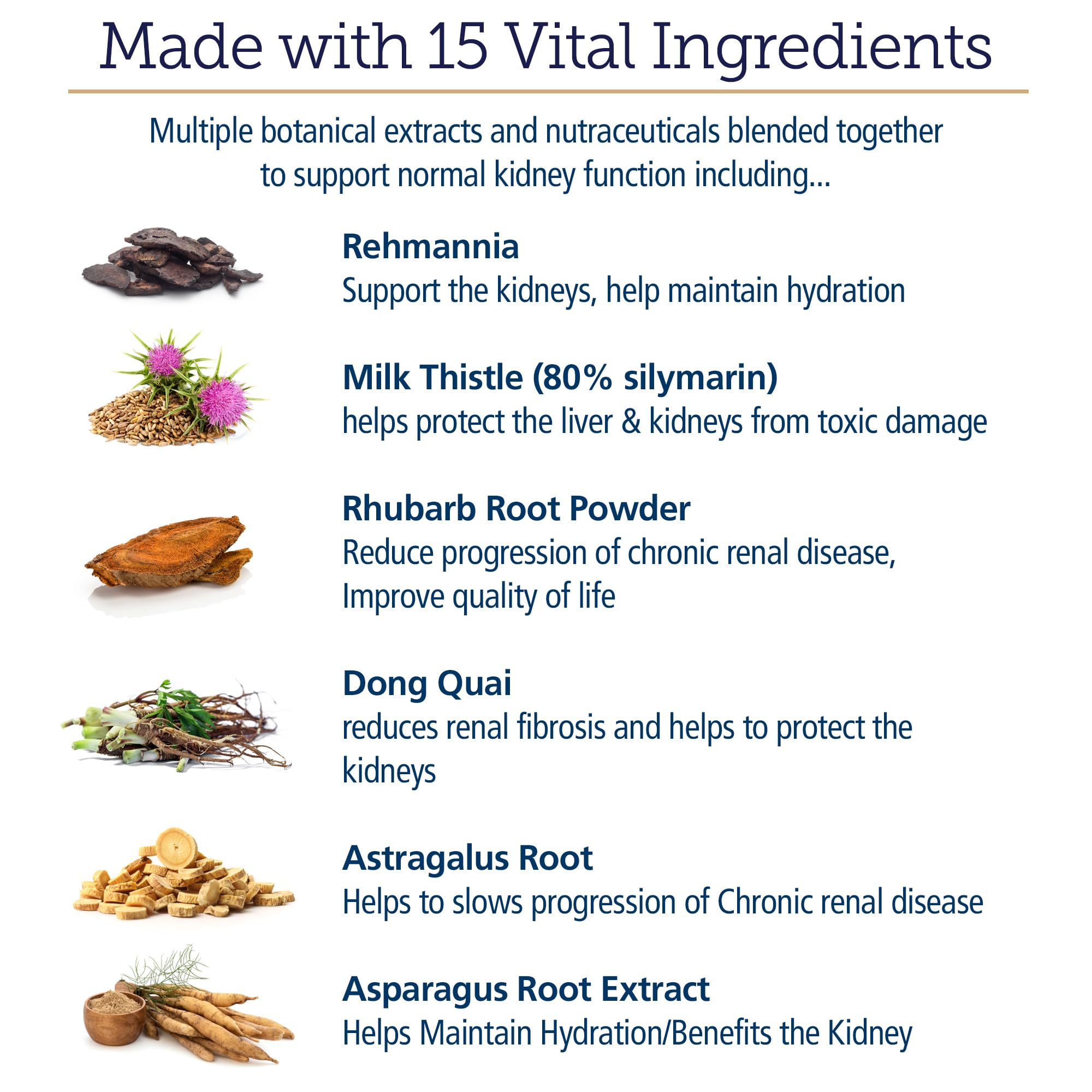 Rx Vitamins Rx Renal – cordyceps et nutraceutiques.