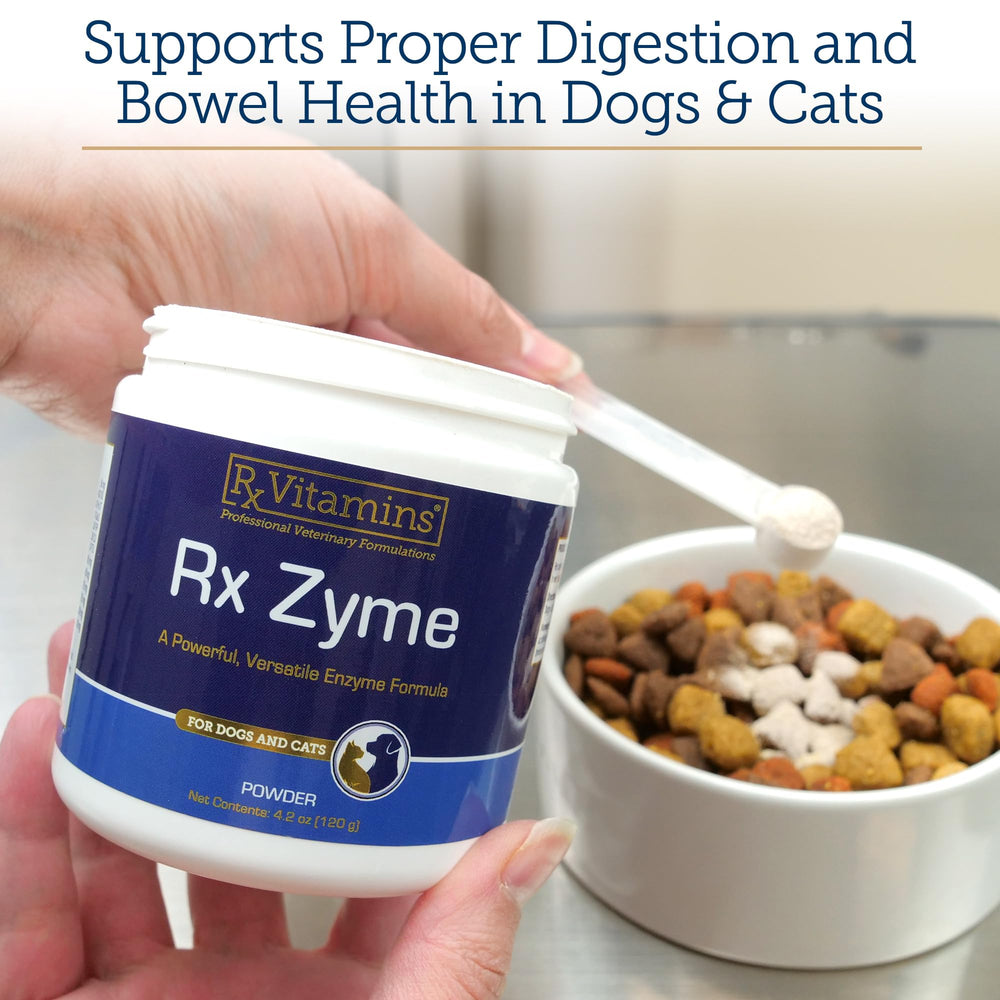 Cuillère-dose Rx Zyme prête à saupoudrer sur les repas.
