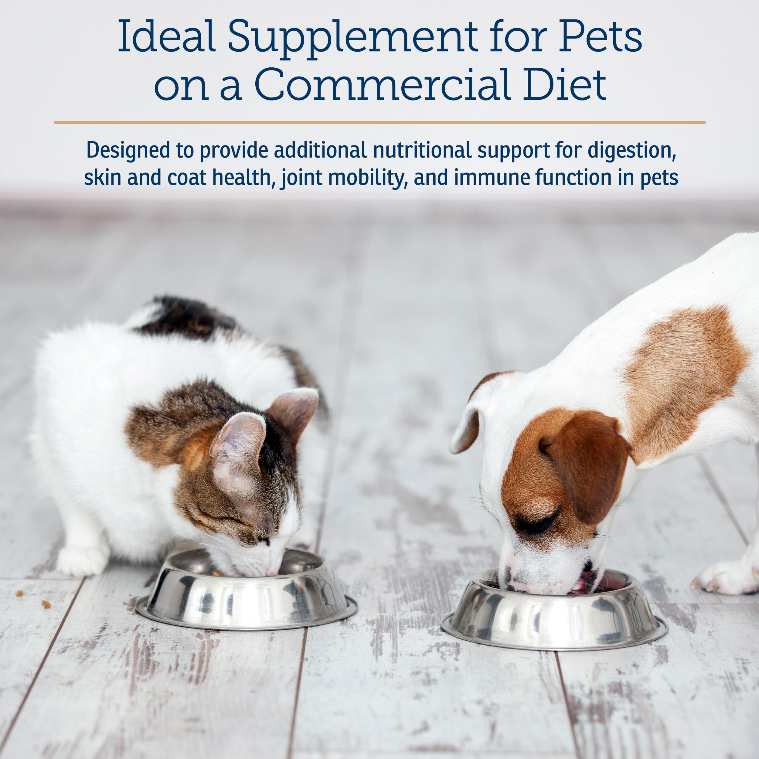 Rx Vitamins Soutien Nutritionnel – pelage brillant et peau saine grâce aux oméga 3.