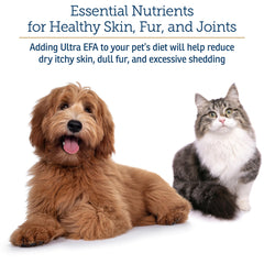 Rx Vitamins Ultra EFA – soutien des articulations et du cœur.