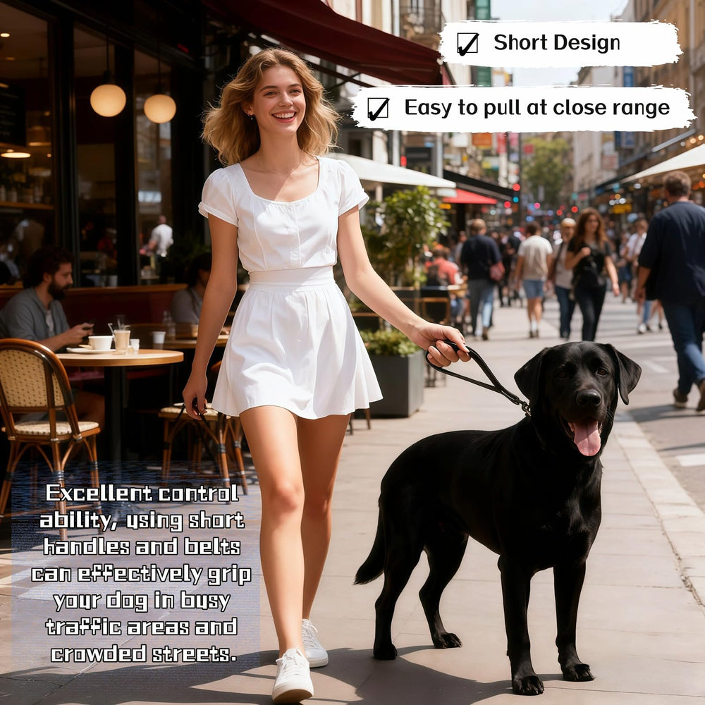 Laisse RyanDesign nylon courte de 12 pouces pour un contrôle rapproché en ville.