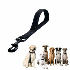 Laisse RyanDesign nylon rembourrée pour une prise confortable lors des promenades.