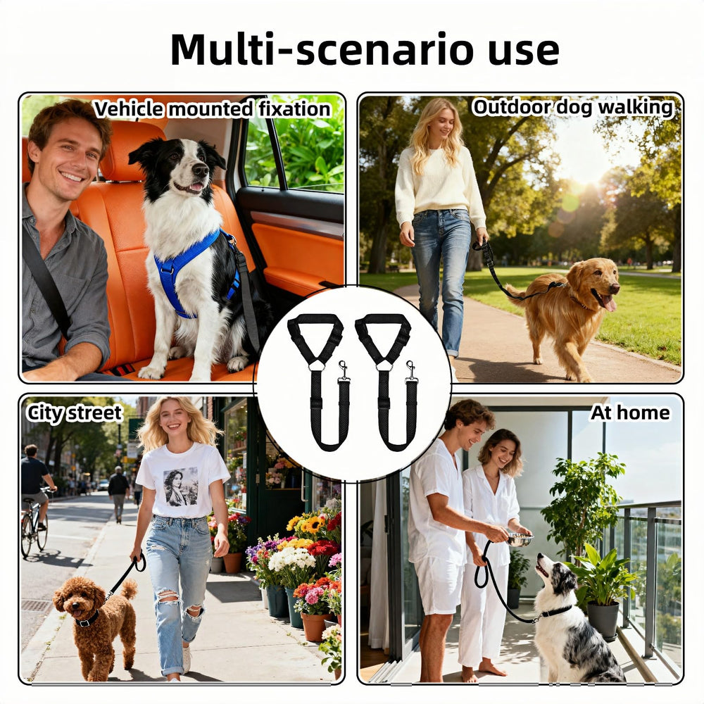 RyanDesign Fils en nylon robuste pour laisse canine durable et fiable.