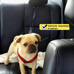 RyanDesign Longe reglable pour chien assure une liberté maîtrisée en déplacement.