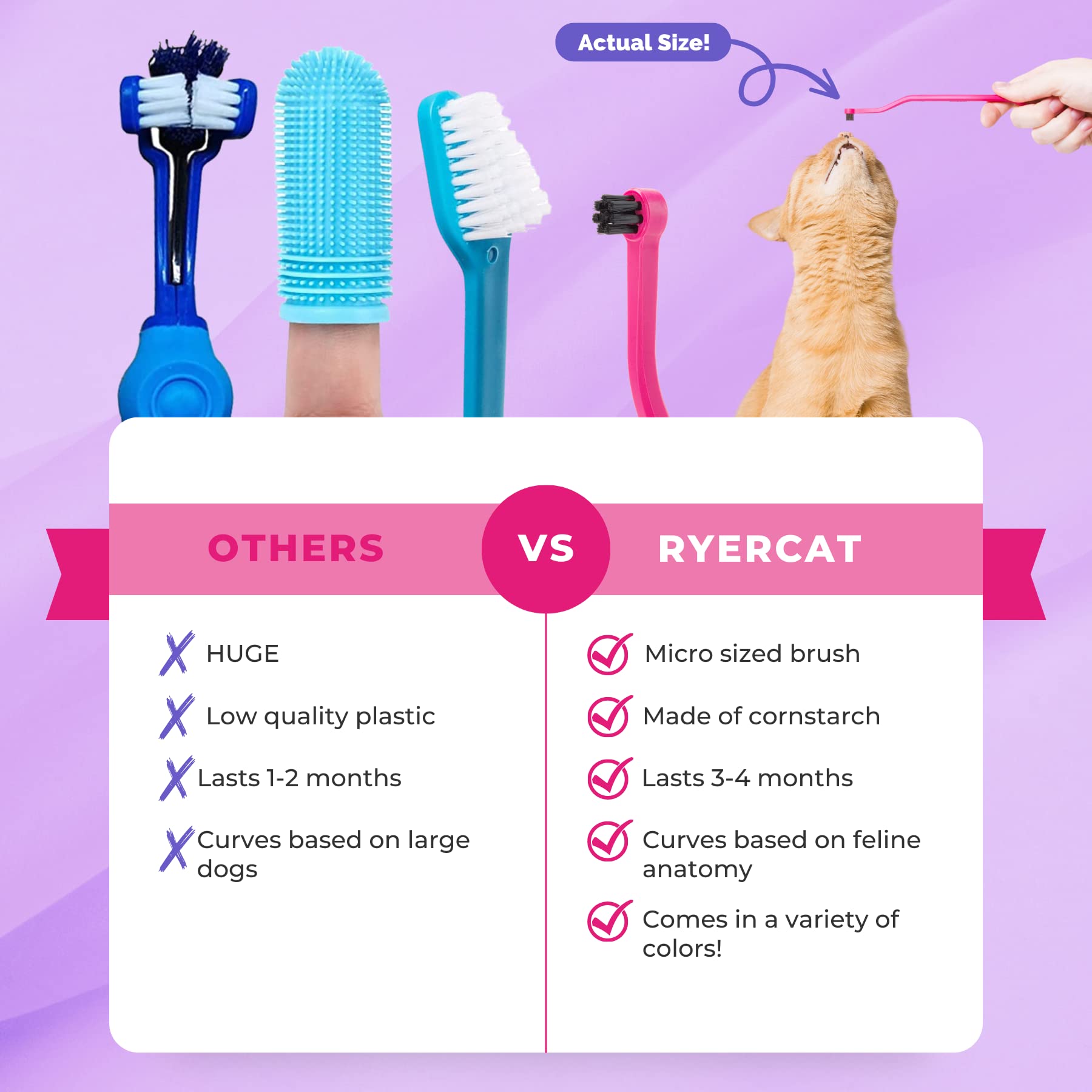 RYERCAT brosse-dents chat double-face améthyste, design ergonomique pour les molaires.