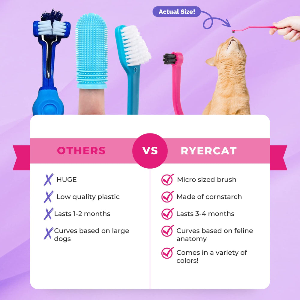 RYERCAT brosse-dents chat double-face améthyste, design ergonomique pour les molaires.