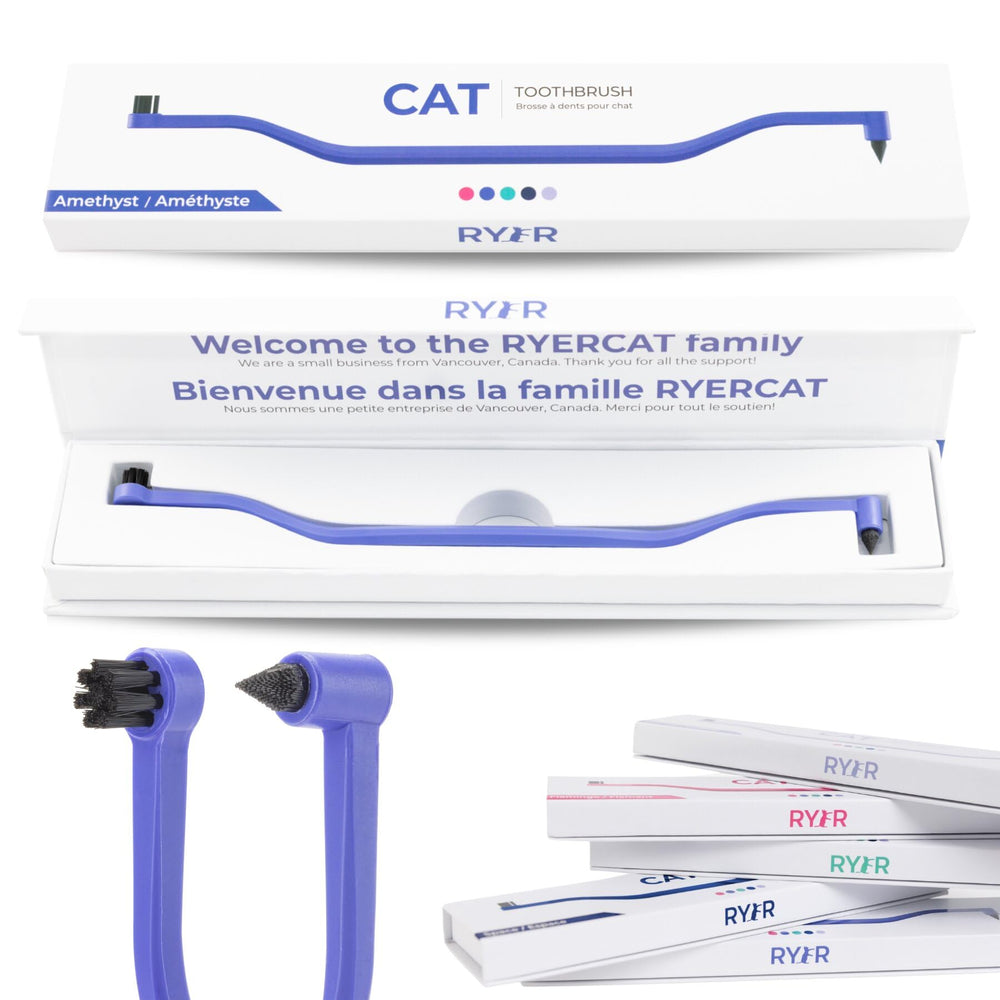 RYERCAT brosse dentaire chat, double-face, brossage précis des molaires.