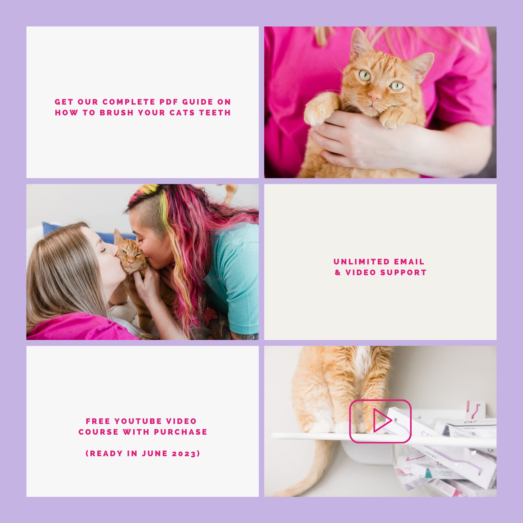 RYERCAT mode d’emploi, guide pratique pour le brossage quotidien.