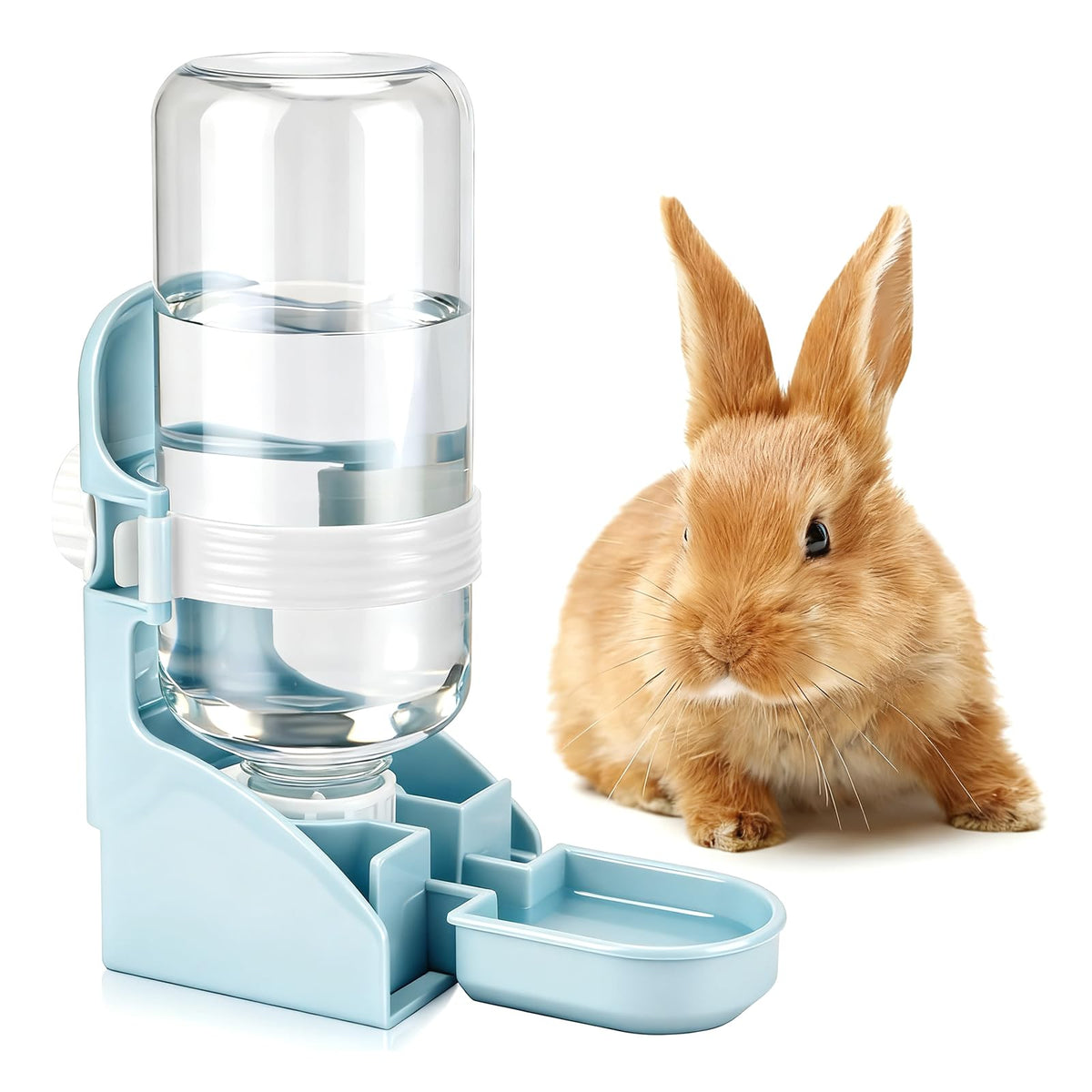 Rypet bouteille d eau sans goutte accrochée à la cage bleue, hydratation sans fuite.