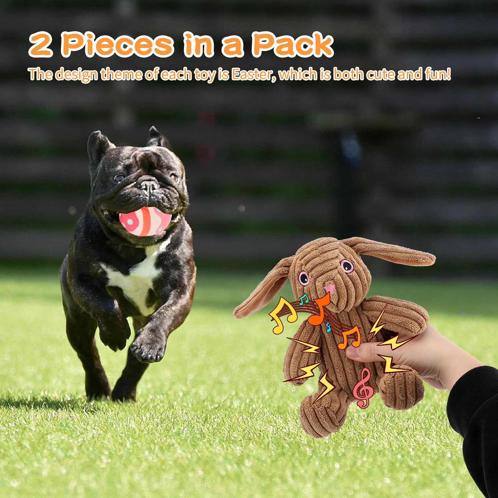 Œufs colorés Rypet en peluche, stimulation visuelle et jeu pour petits chiens.
