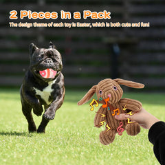 Œufs colorés Rypet en peluche, stimulation visuelle et jeu pour petits chiens.