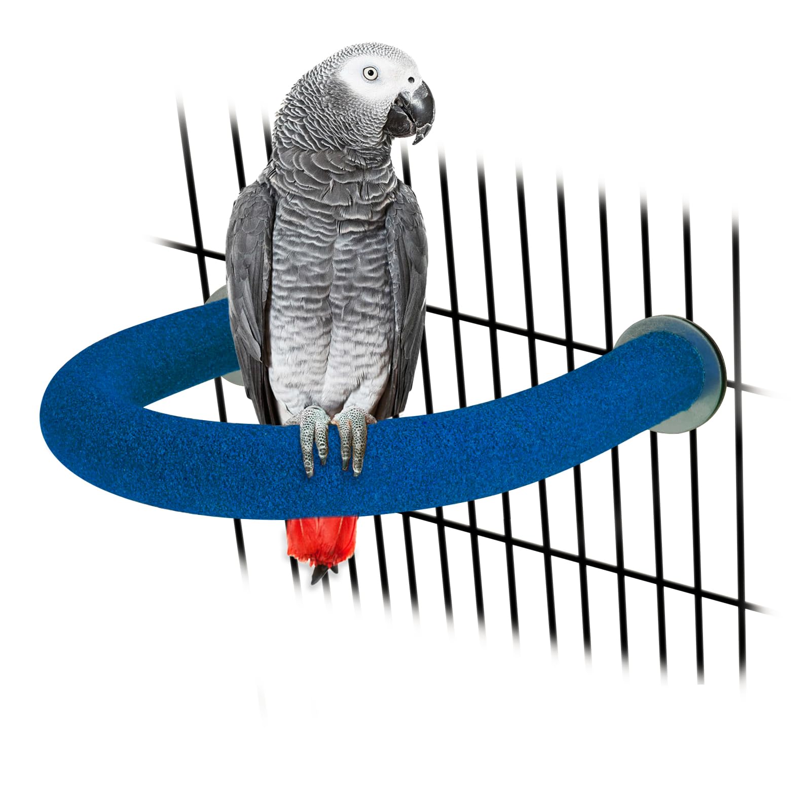 RYPET perchoir, surface rugueuse en sable quartz, favorise l’exercice des pattes.