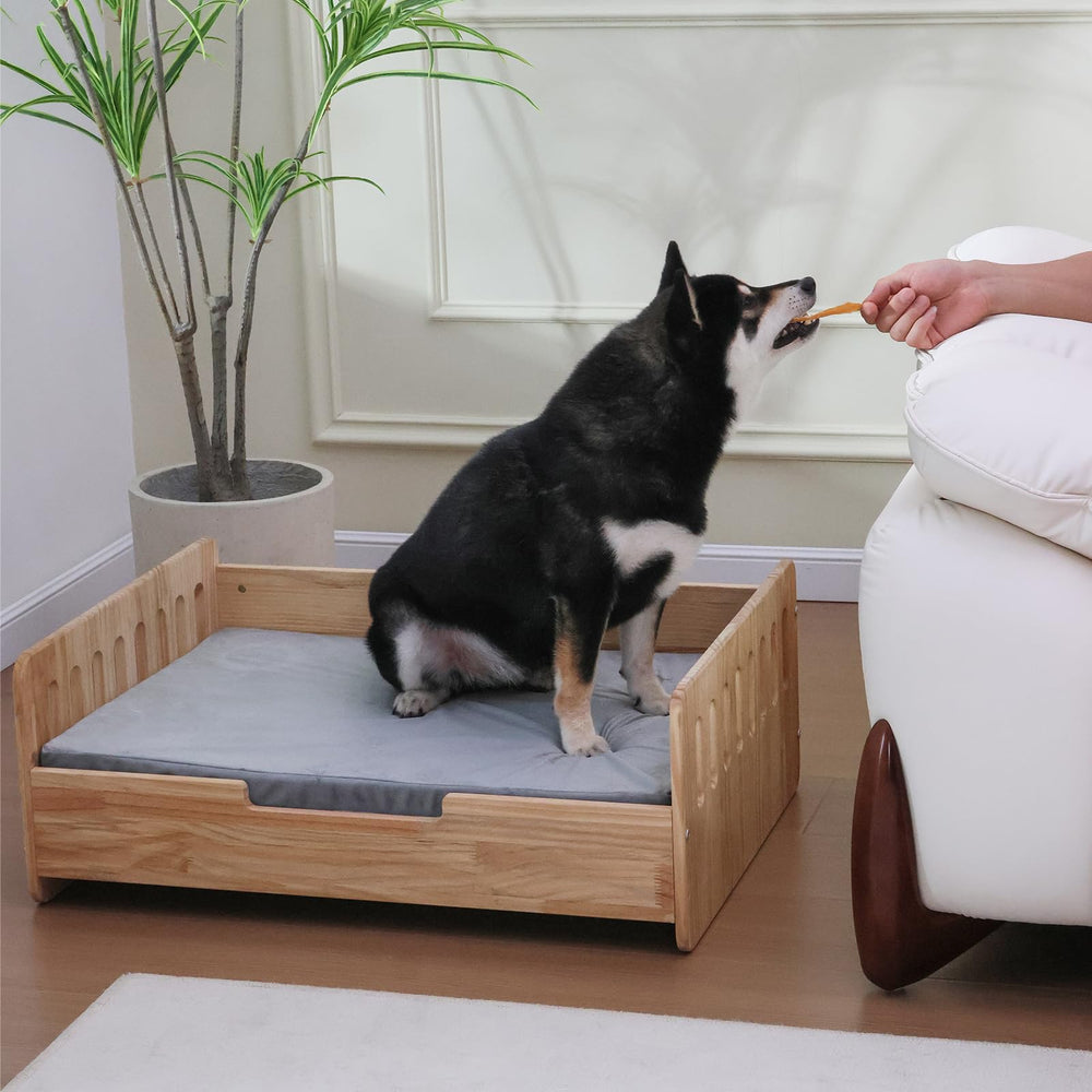 Housse lavable et entretien pratique du lit chien RYpetmia