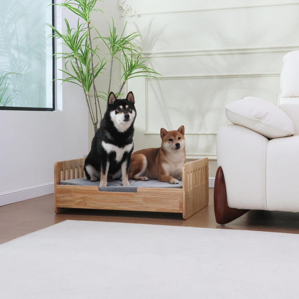 Chien se reposant sur le lit surélevé RYpetmia pour un repos confortable
