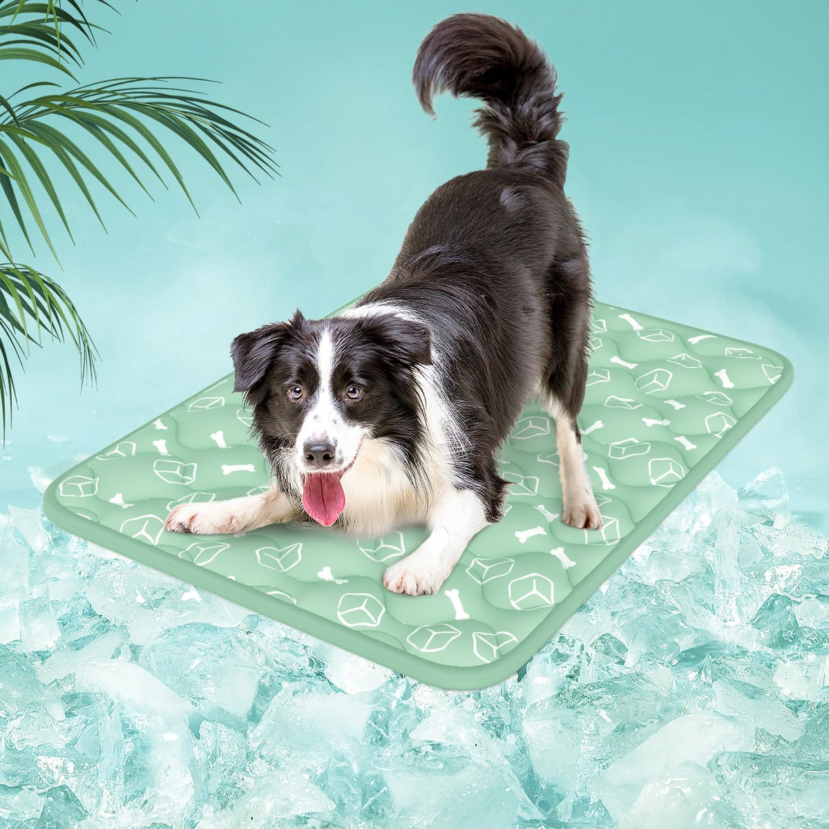 Rywell Matelas Refroidissant Arc-Chill offre une fraîcheur durable pour chiens actifs.