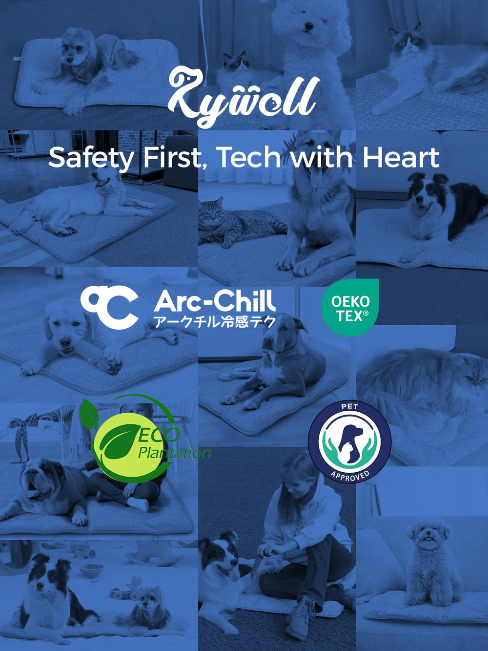 Rywell tapis-chien lavage en machine simplifie l’entretien.