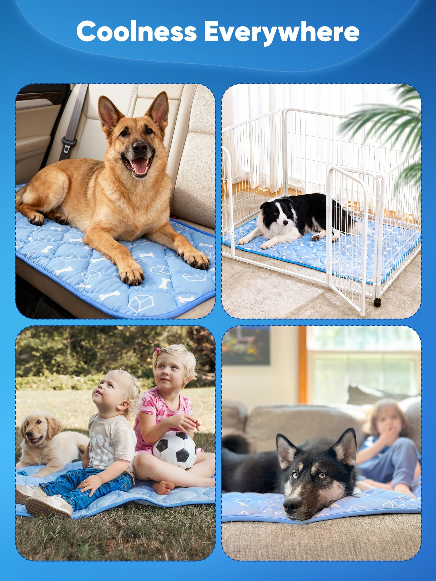 Rywell Tapis Convient Grandes races et foyers multi-animaux.