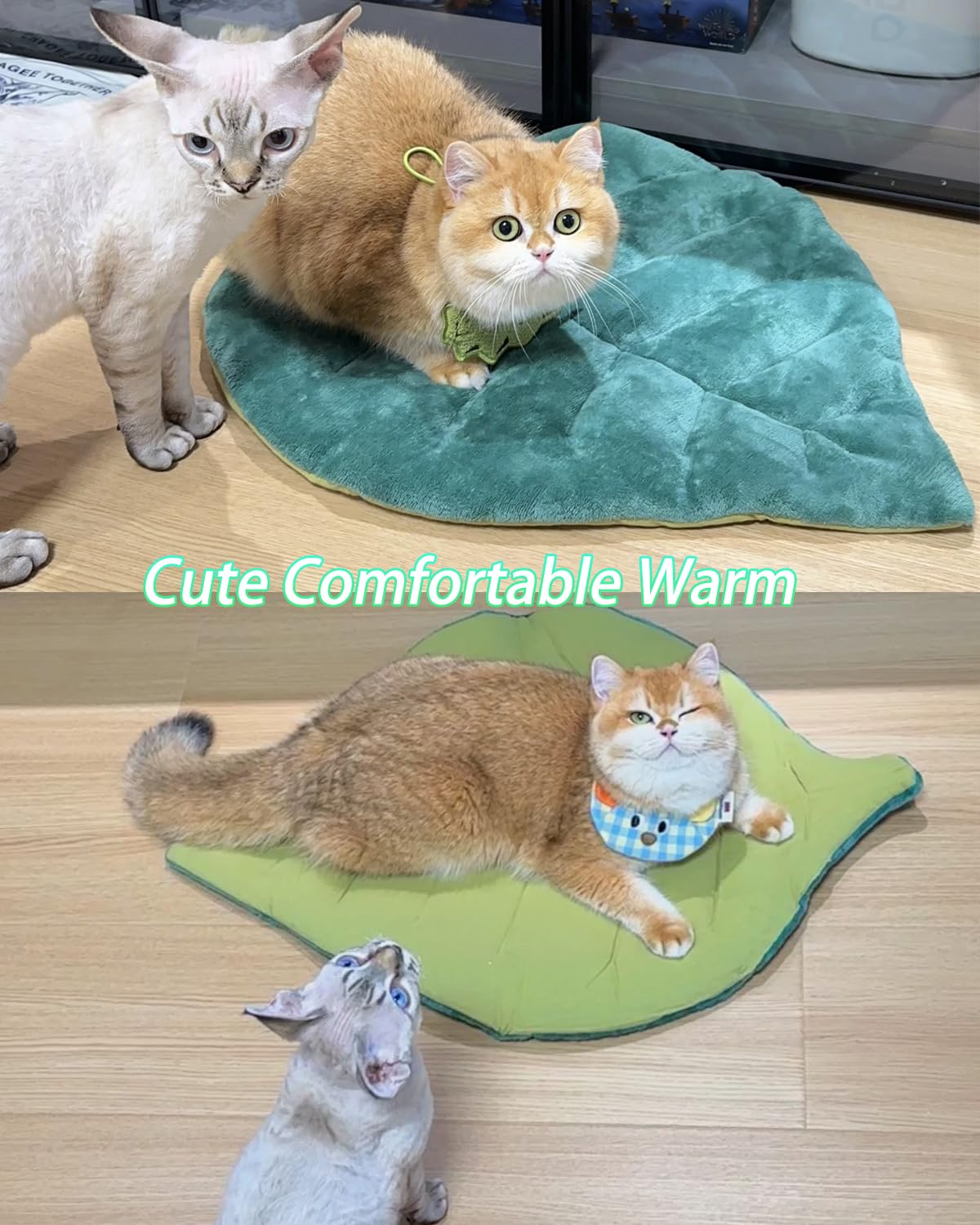 Tapis chat design feuille original Rzxlszy pour bien-être animal