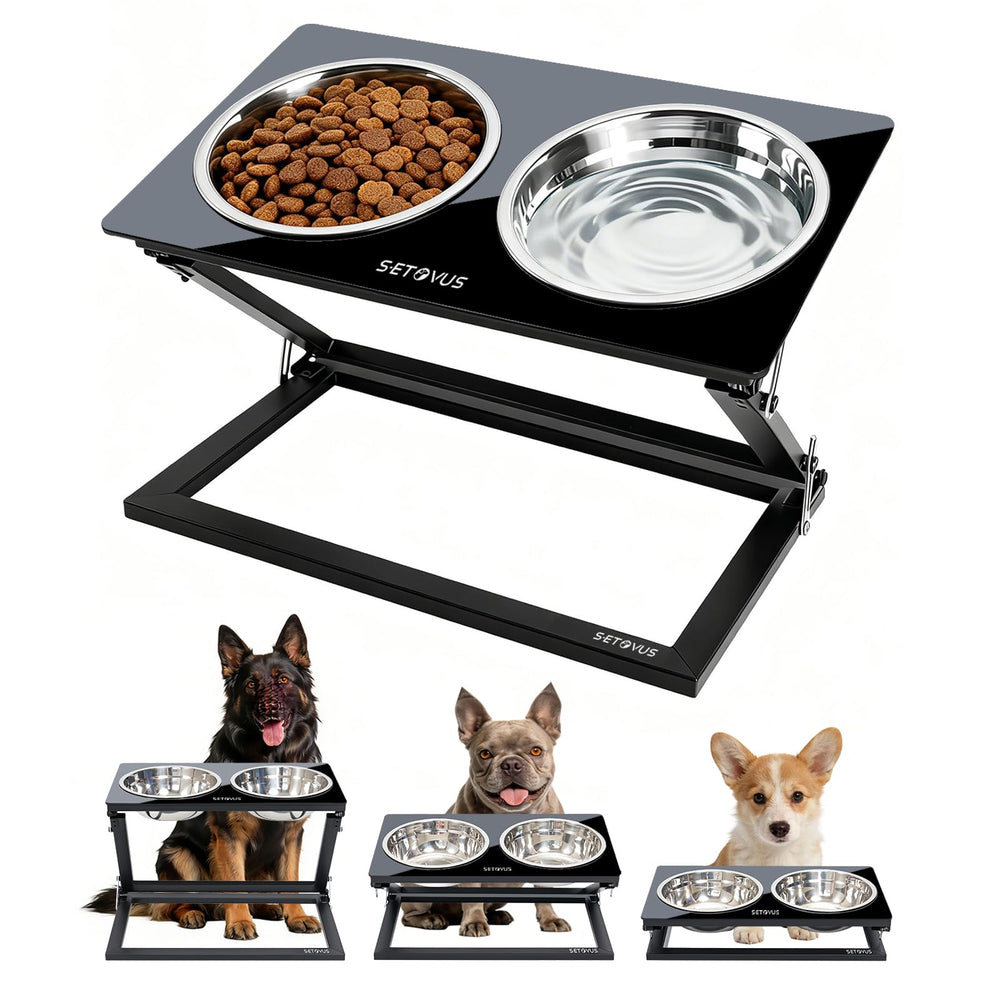 S-ETOVUS: support surélevé avec deux bols inox pour repas confortables